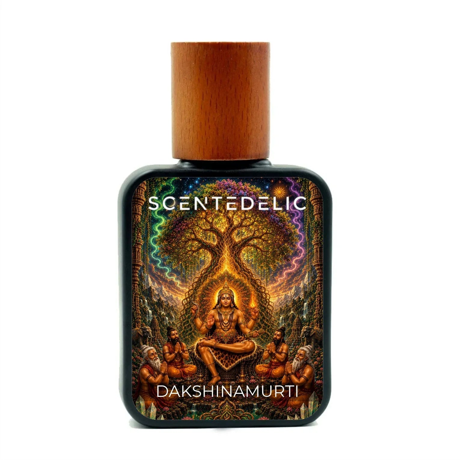 DAKSHINAMURTHI *EXCEPTIONAL EXTRAIT*