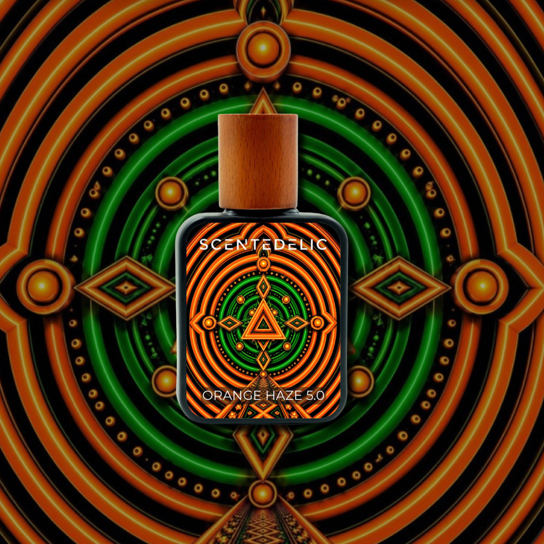 ORANGE HAZE 5.0
