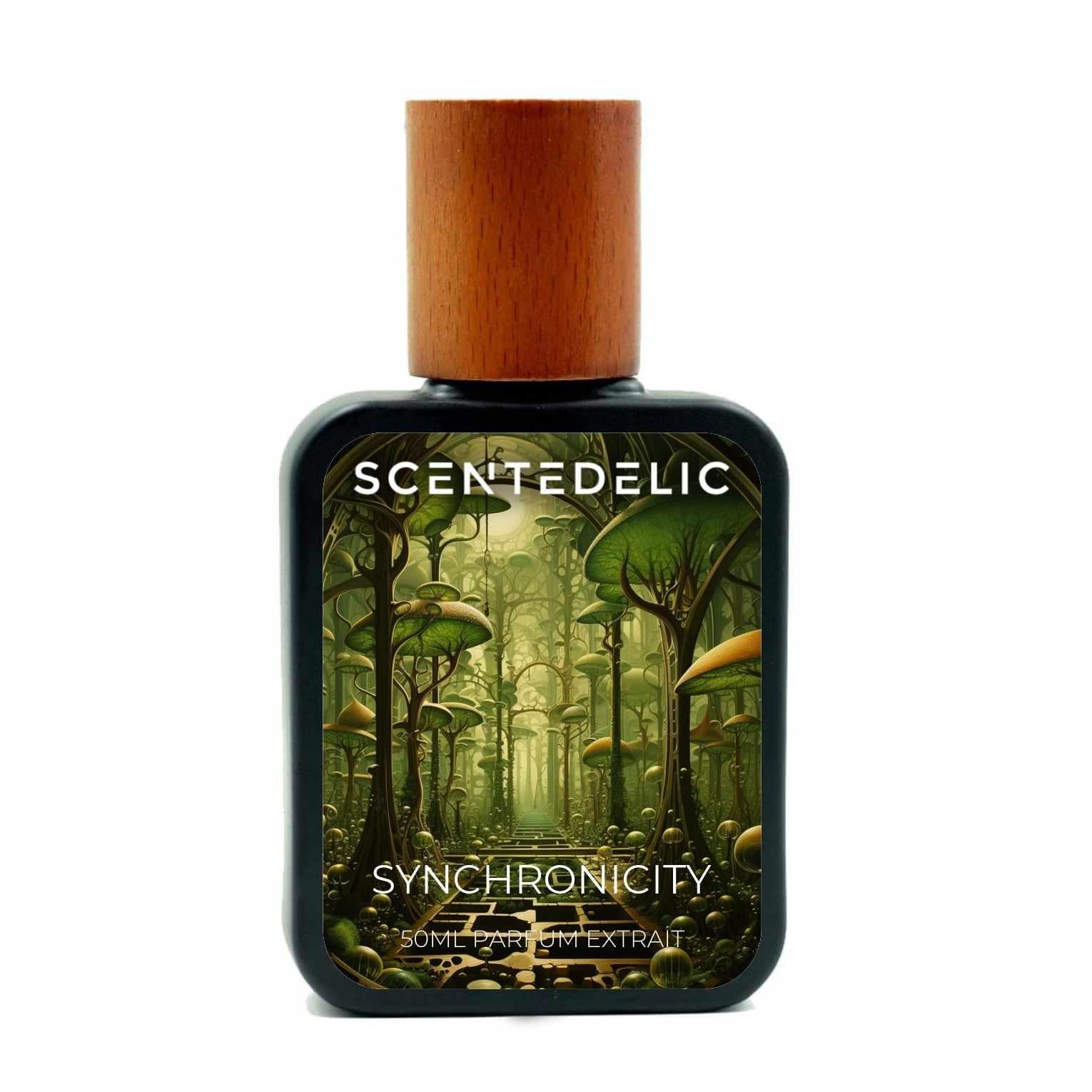 SYNCHRONICITY