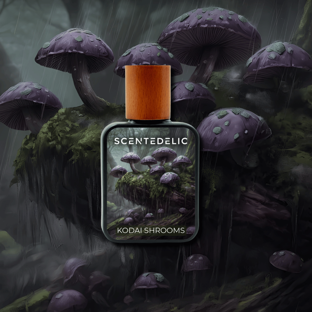 KODAI SHROOMS