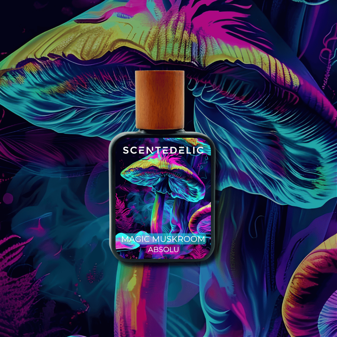 MAGIC MUSKROOM ABSOLU