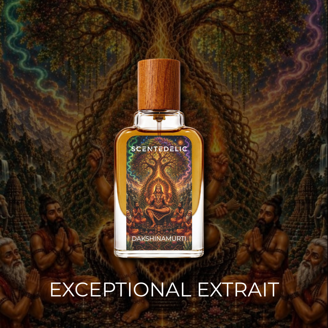 DAKSHINAMURTHI | EXCEPTIONAL EXTRAIT