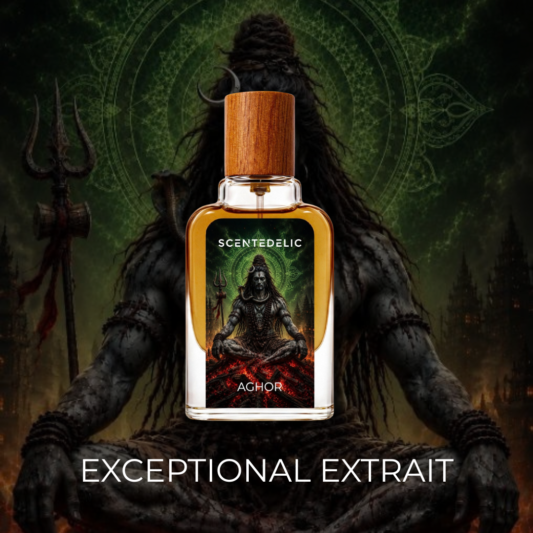 AGHOR | EXCEPTIONAL EXTRAIT