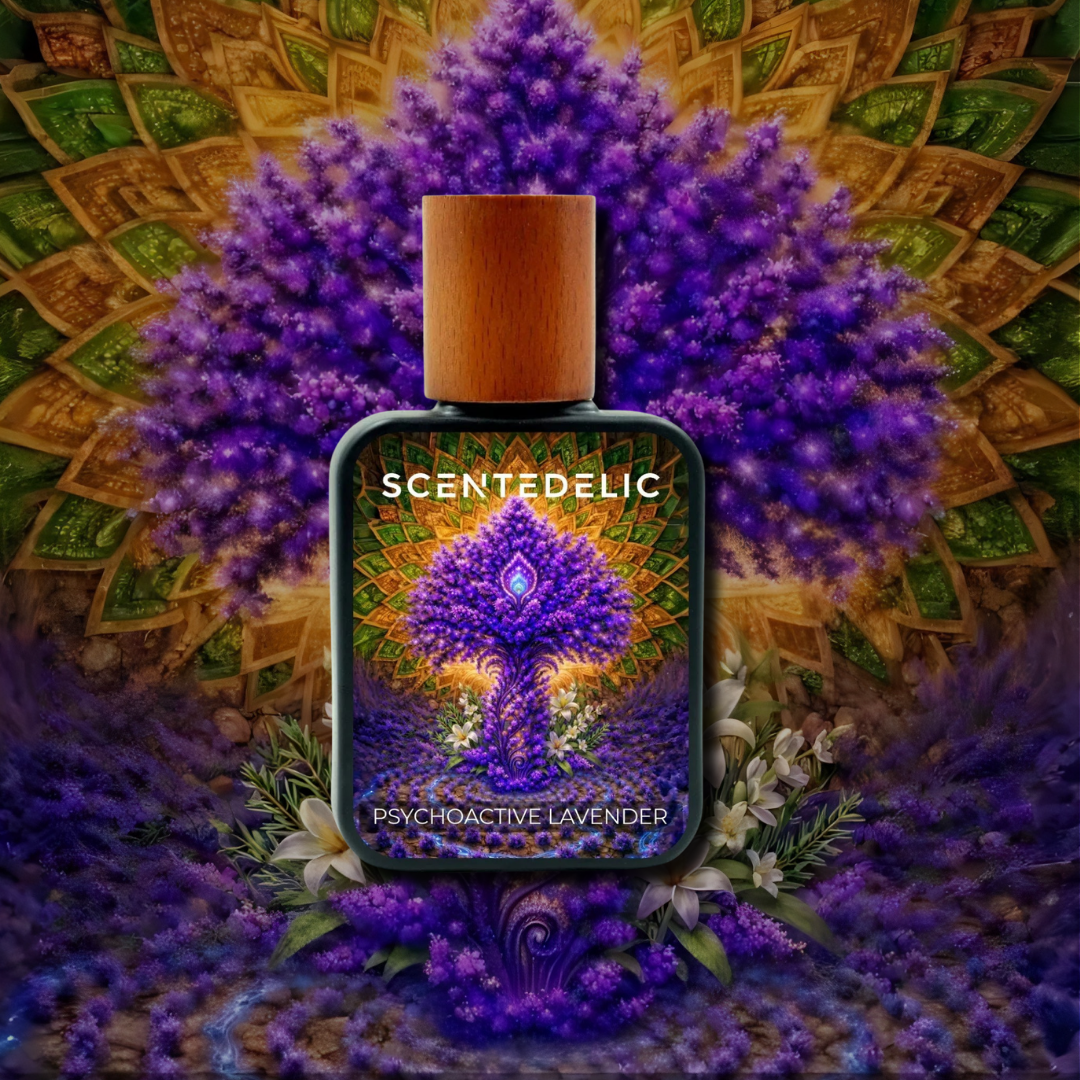 PSYCHOACTIVE LAVENDER