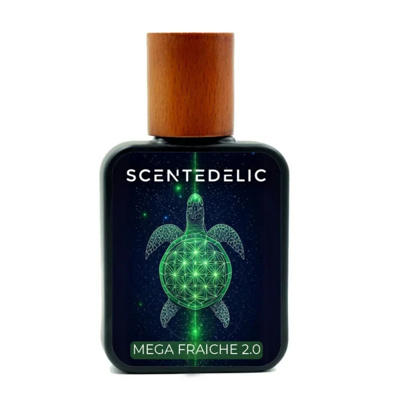 MEGA FRAICHE 2.0