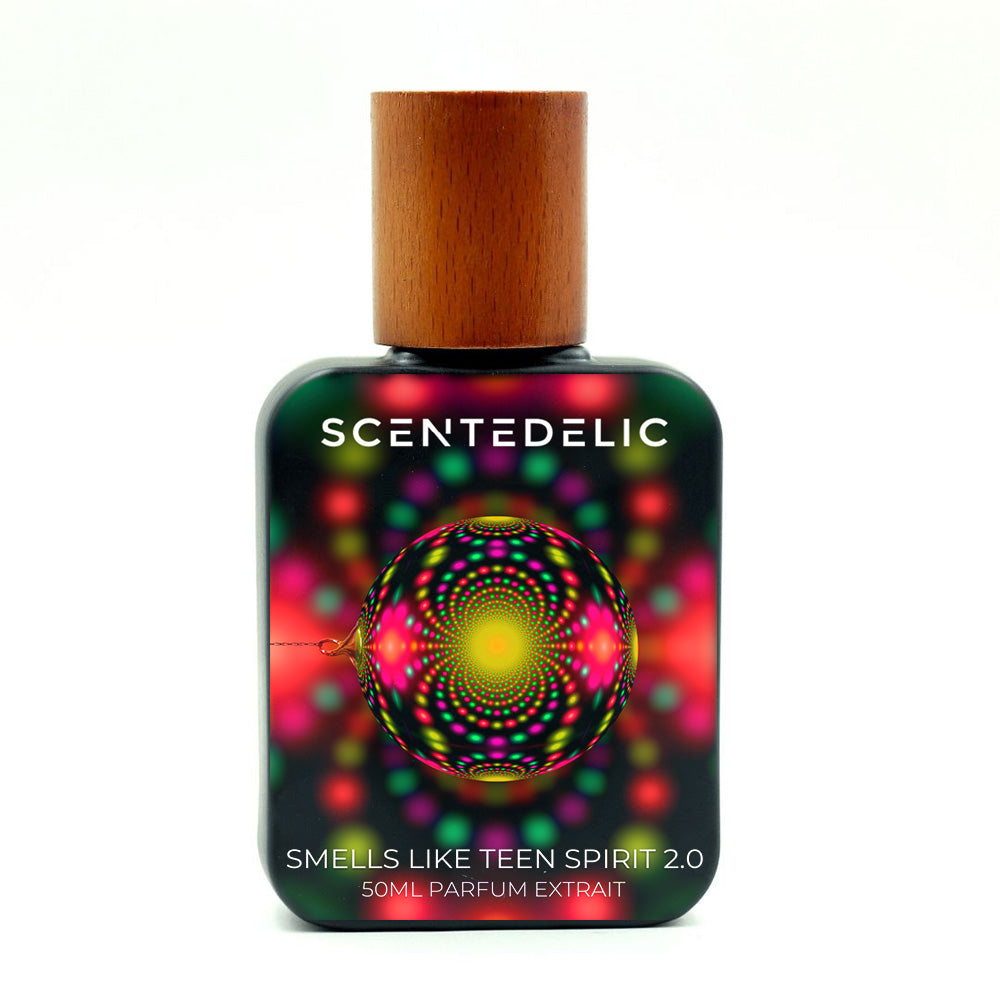 SMELLS LIKE TEEN SPIRIT 2.0