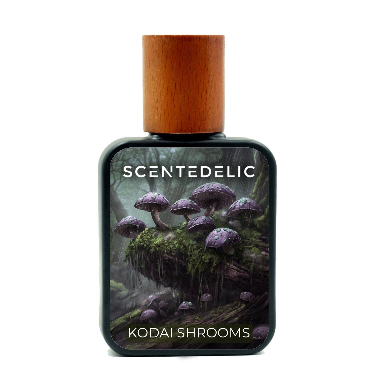 KODAI SHROOMS