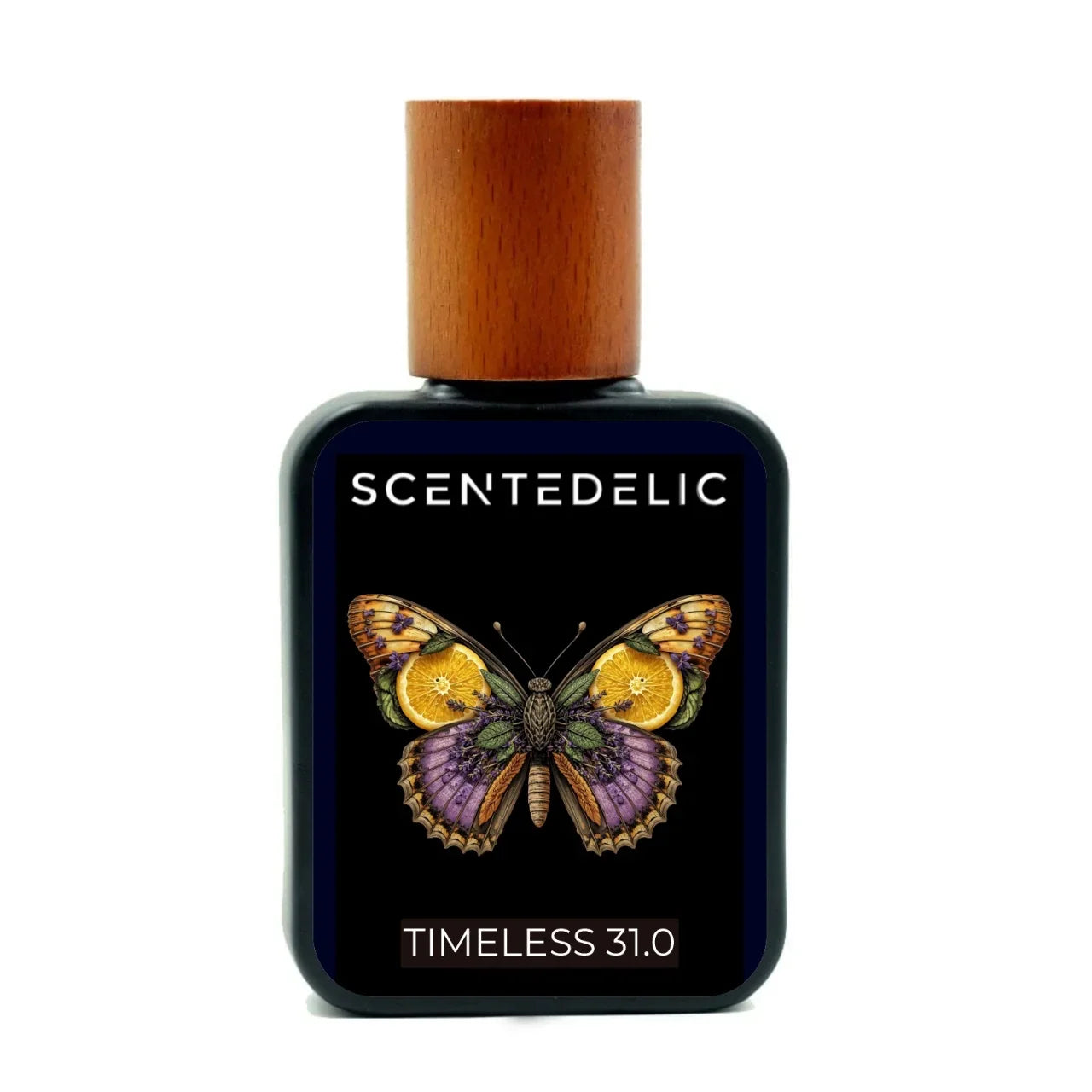 TIMELESS 31.0