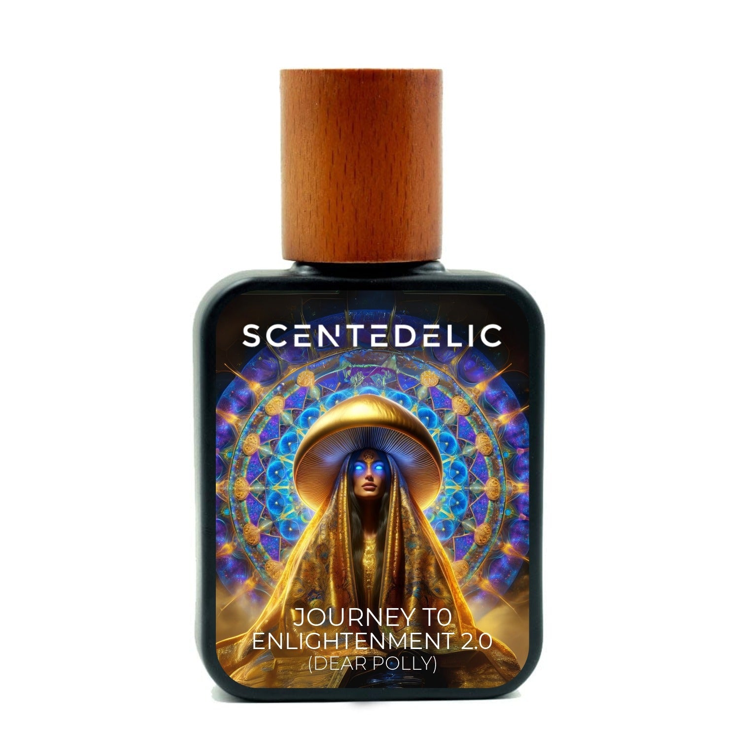 JOURNEY TO ENLIGHTENMENT 2.0