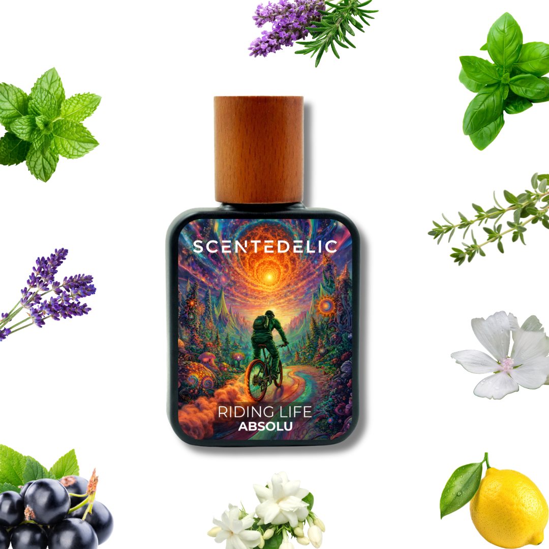 RIDING LIFE ABSOLU