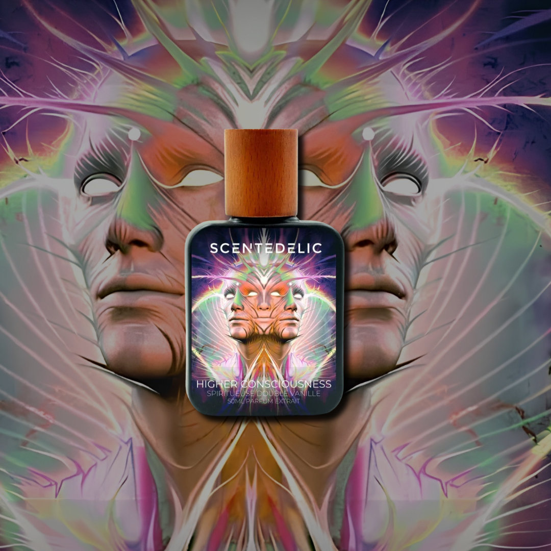 HIGHER CONSCIOUSNESS