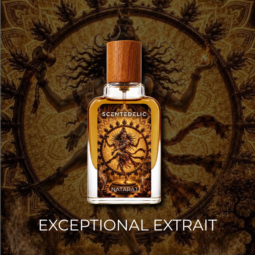 NATARAJ | EXCEPTIONAL EXTRAIT