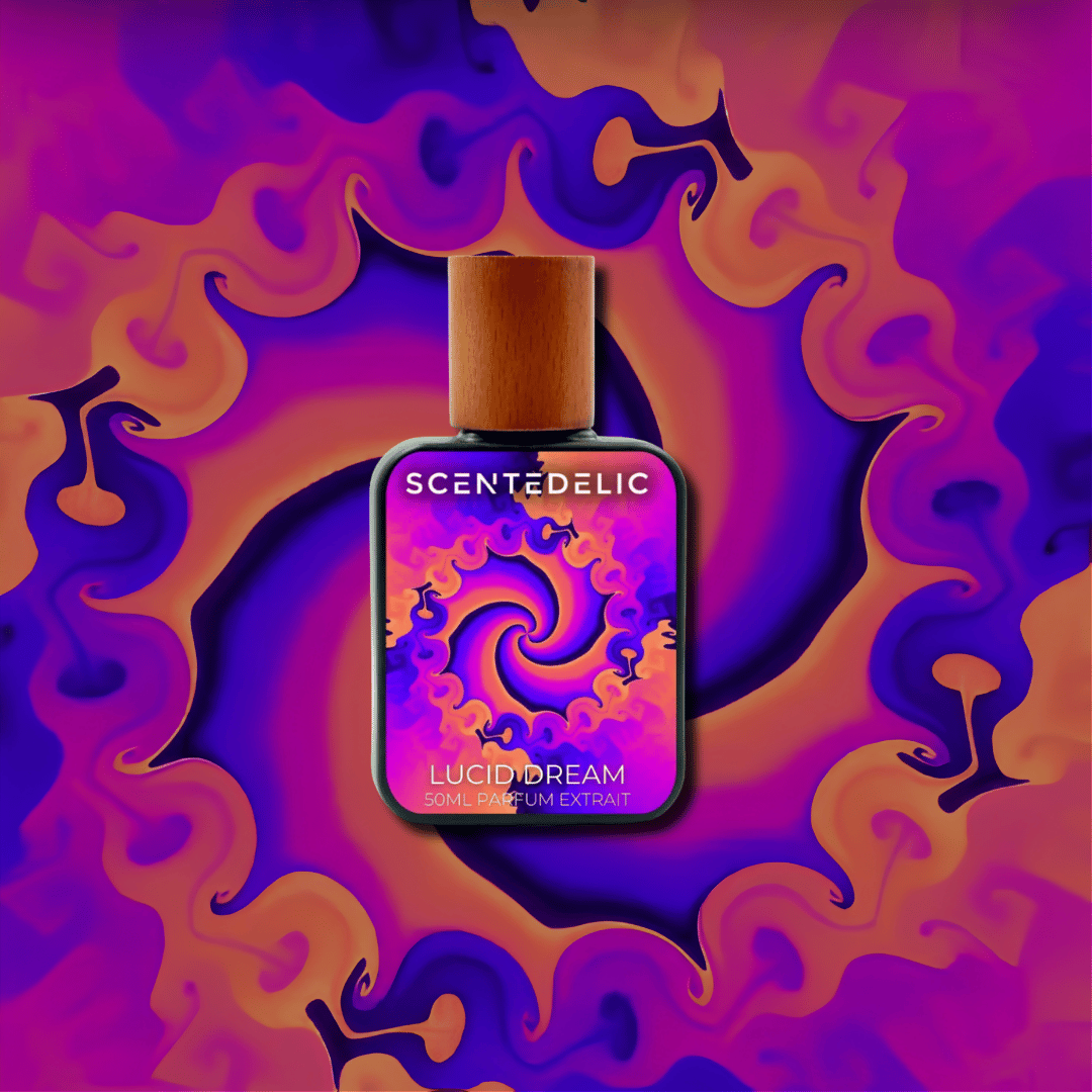 LUCID DREAM