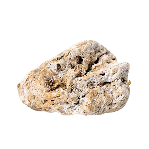 Ambergris
