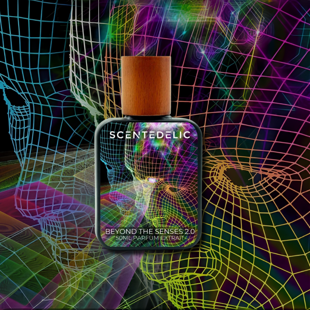 BEYOND THE SENSES 2.0