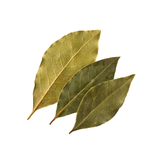 Bay Leaf