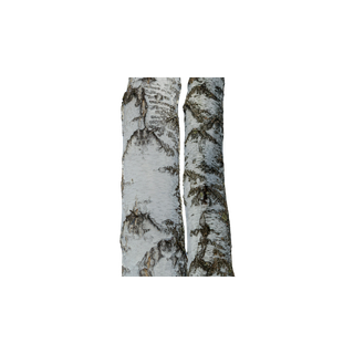 Birch Tar