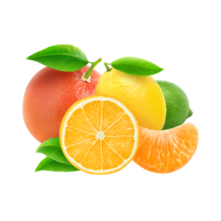 Citrus Notes