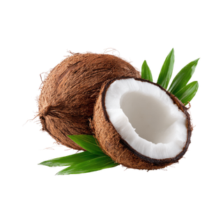 Coconut