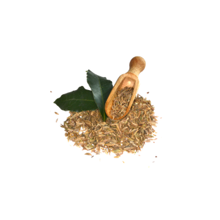 Cumin