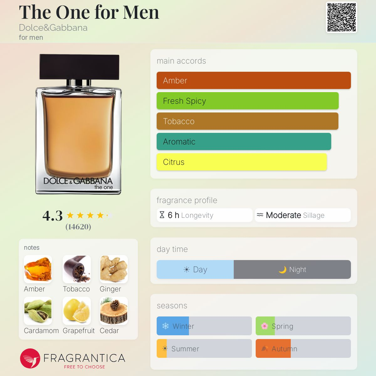 COVER OF D&G THE ONE PARFUM PARFUM WITH ARTWORK'
