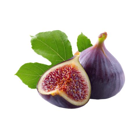 Fig