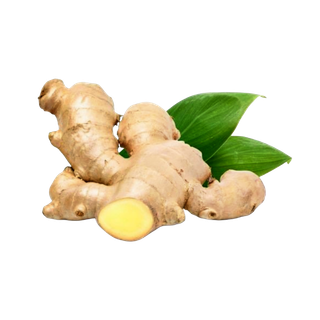 Ginger