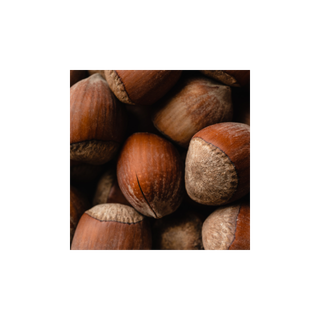 Hazelnut