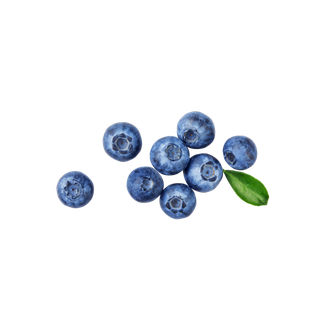 Juniper Berry