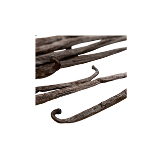 Madagascar Vanilla