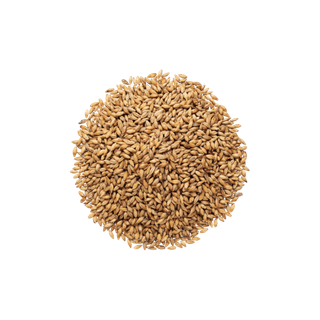 Malt