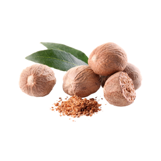 Nutmeg Flower