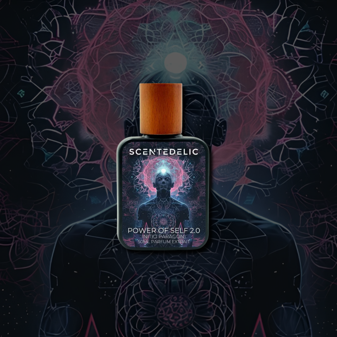 POWER OF SELF 2.0 (INITIO PARAGON)