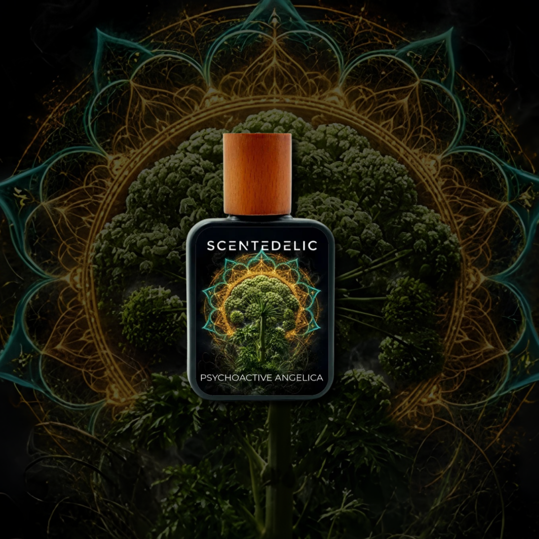 PSYCHOACTIVE ANCELICA