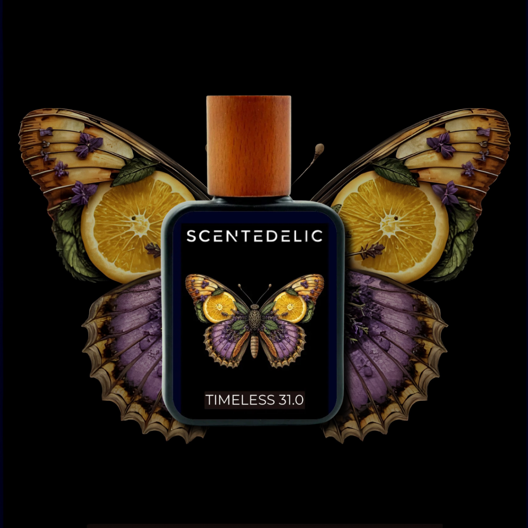 TIMELESS 31.0