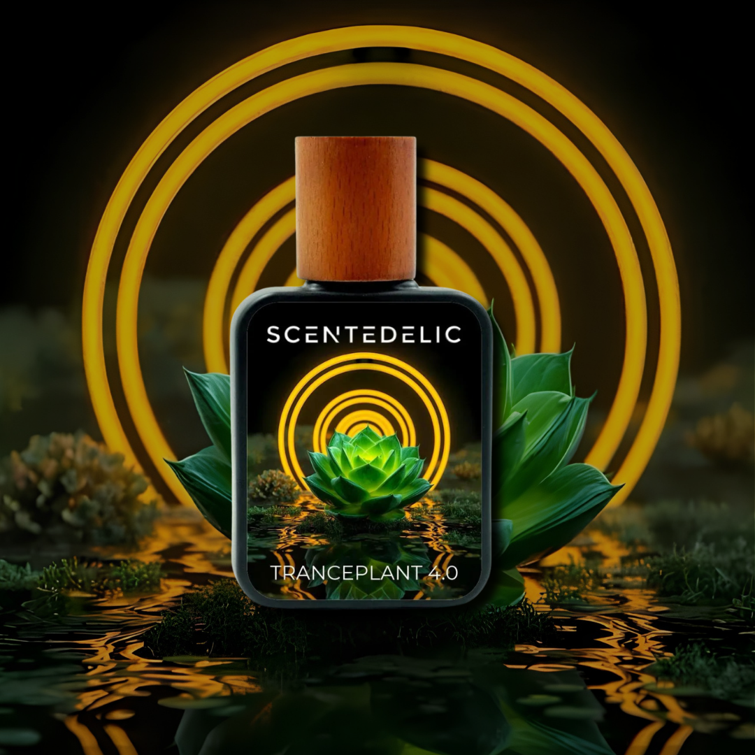 TRANCEPLANT 4.0