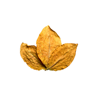 Tobacco Leaf