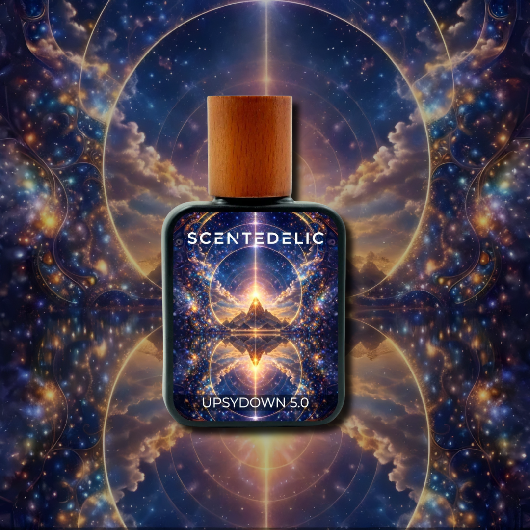 UPSYDOWN 5.0