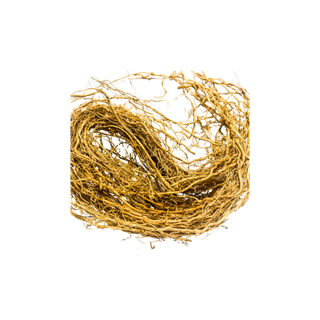 Vetiver