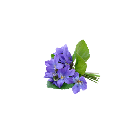 Violet Leaf
