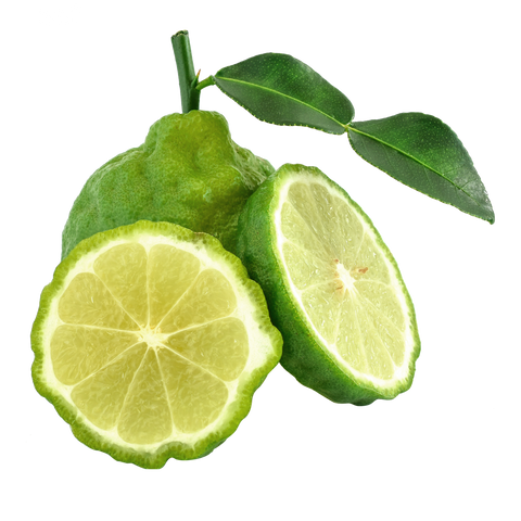 Bergamot Leaf