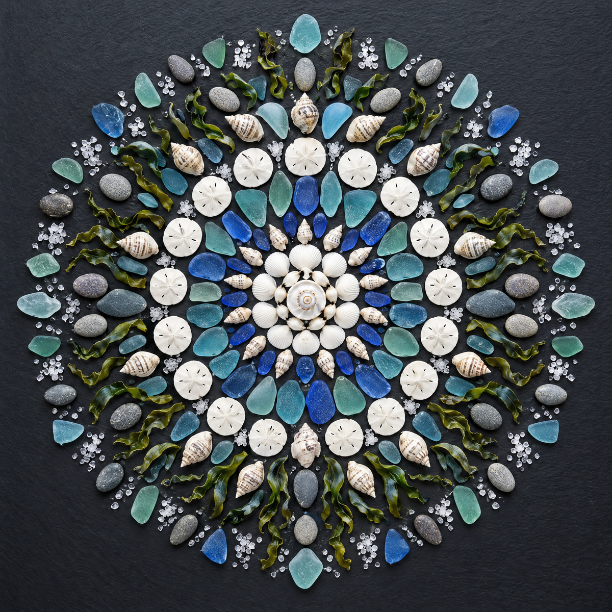 Aquatic: sea glass, shells, sand dollars and sea salt