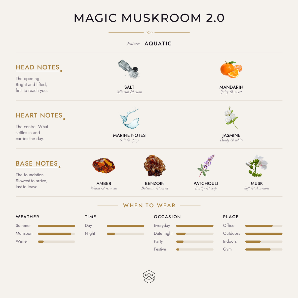 Magic Muskroom 2.0 scent notes: salt, mandarin; marine notes, leather, jasmine; amber, benzoin, patchouli