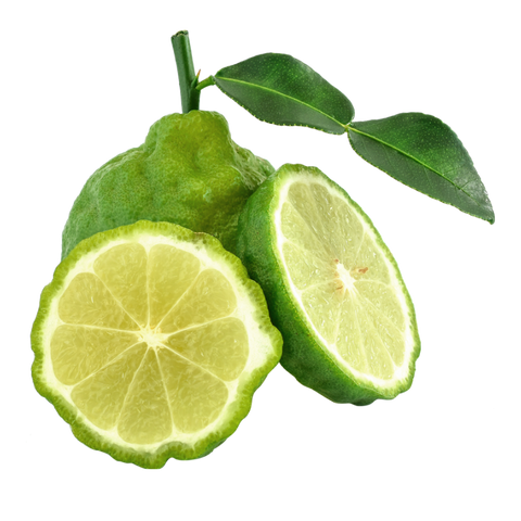 Bergamot