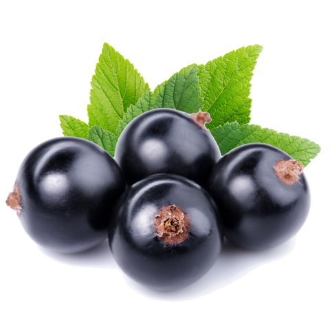 Black Currant