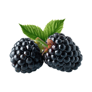 Blackberry