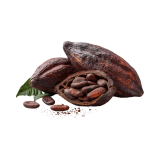 Cacao Pod
