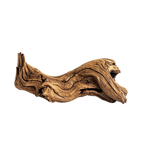 Driftwood