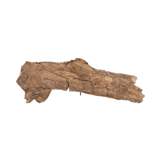 Dry Wood