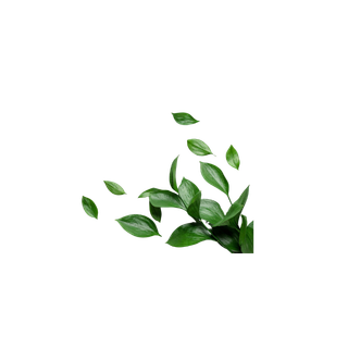 Green Leaves